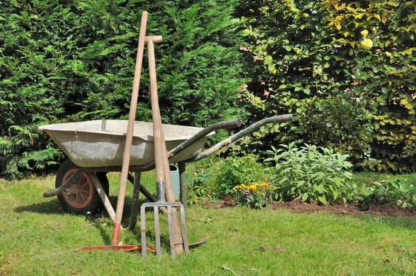 Old wheelbarrow and gardening tools — Stock Photo, Image