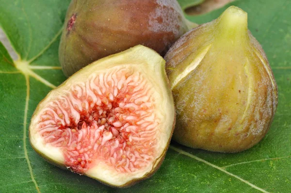Half of figs and fig whole