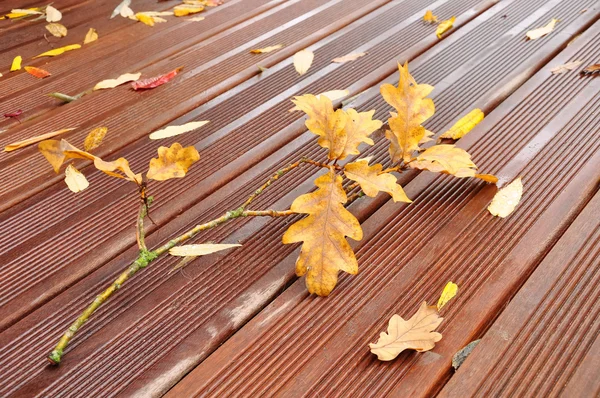 Herbstlaub auf der Terrasse — Stockfoto