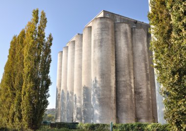 Agricultural silo clipart