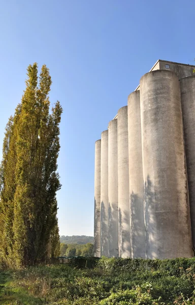 Tarımsal silo — Stok fotoğraf