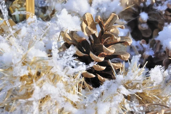 Cono di pino nella neve con ghirlanda d'oro — Foto Stock