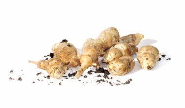 Jerusalem artichoke clipart