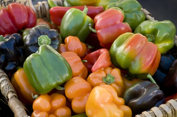 stock image Colorful peppers