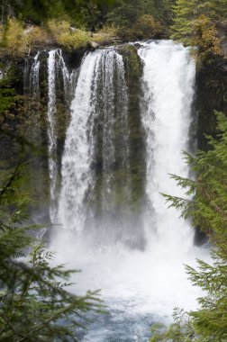 Lower Sahalie falls, Oregon clipart