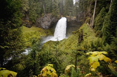 Sahalie Falls, Oregon clipart