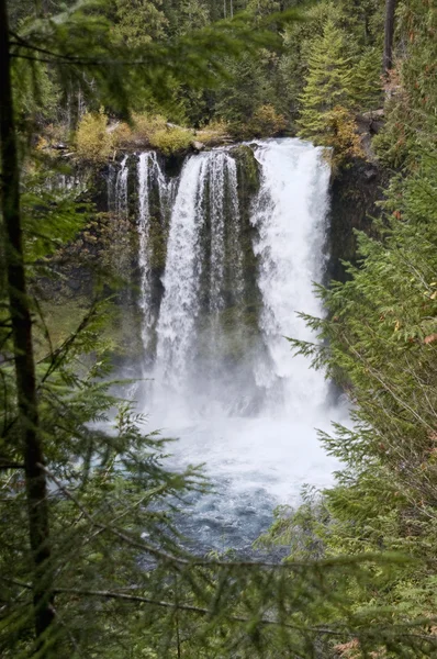 Lower Sahalie Falls, Oregon — Fotografia de Stock