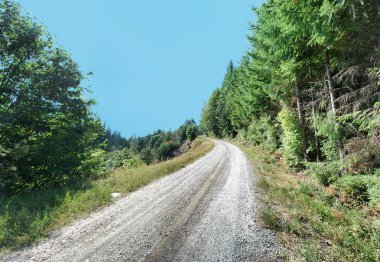 toprak yol ağaçlı hillside panorama eğme