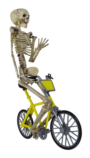 Скелет на велосипеде — стоковое фото