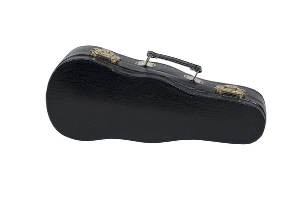 Music case with handle used for carrying and storing musical instruments - path included