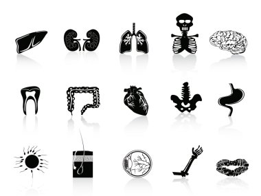 Black human anatomy icon clipart