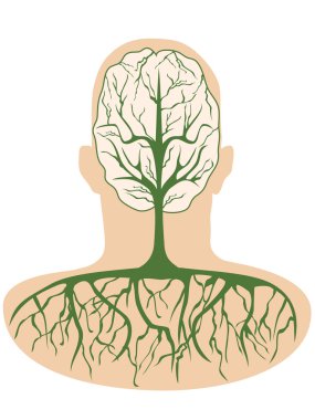 Brain tree clipart