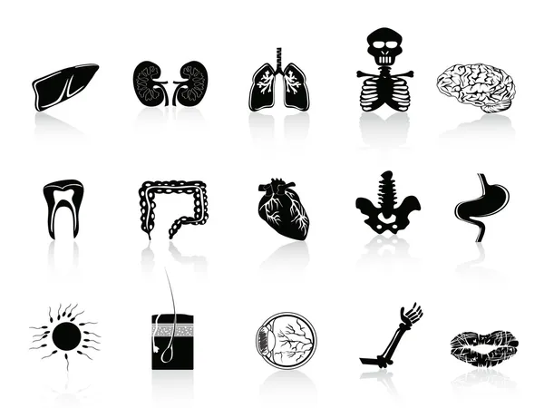 Icono de anatomía humana negra — Archivo Imágenes Vectoriales