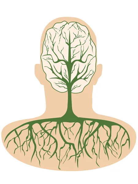 Hjärnan träd — Stock vektor