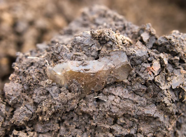 Neolithic flint tool — Stock Photo, Image