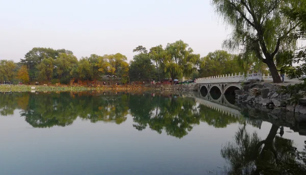 Parque chinês com ponte — Fotografia de Stock