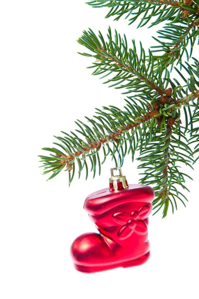 Red christmas star hanging from tree — Stock Photo, Image