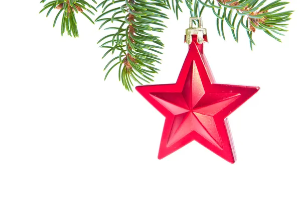 Piros karácsonyi csillag lógott a fán — Stock Fotó