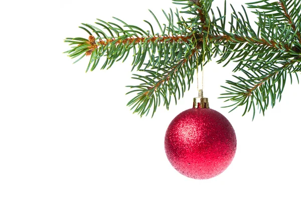 Vánoční koule na větvi — Stock fotografie