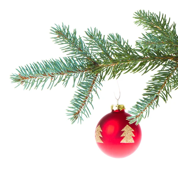 Bola de Natal vermelho no ramo — Fotografia de Stock