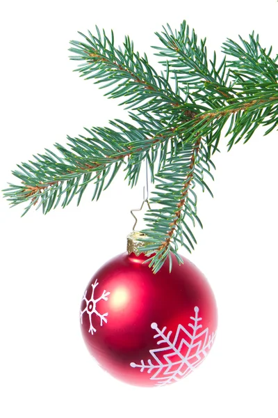 Kulatou ze smrkových vánoční stromeček — Stock fotografie