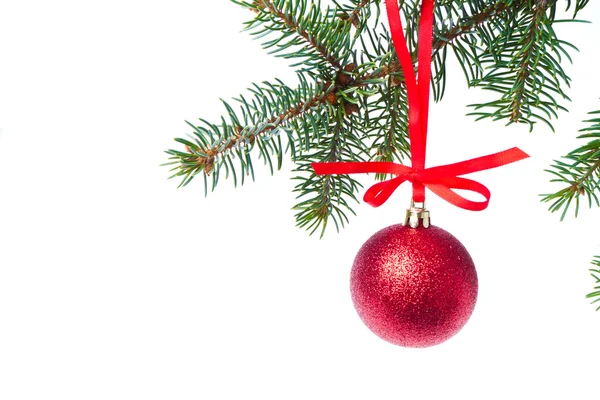 Red christmas ball hanging from tree — Stock Photo, Image