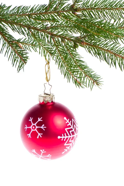Κόκκινη μπάλα που κρέμονται από ερυθρελάτης χριστουγεννιάτικο δέντρο — Φωτογραφία Αρχείου