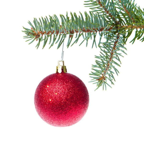 Czerwona piłka Boże Narodzenie zwisające z drzewa — Zdjęcie stockowe