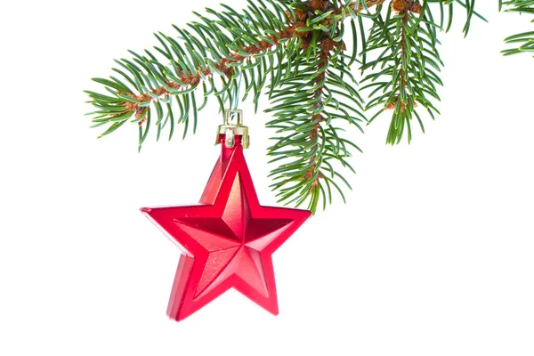 Röd julstjärna hängande från träd — Stockfoto
