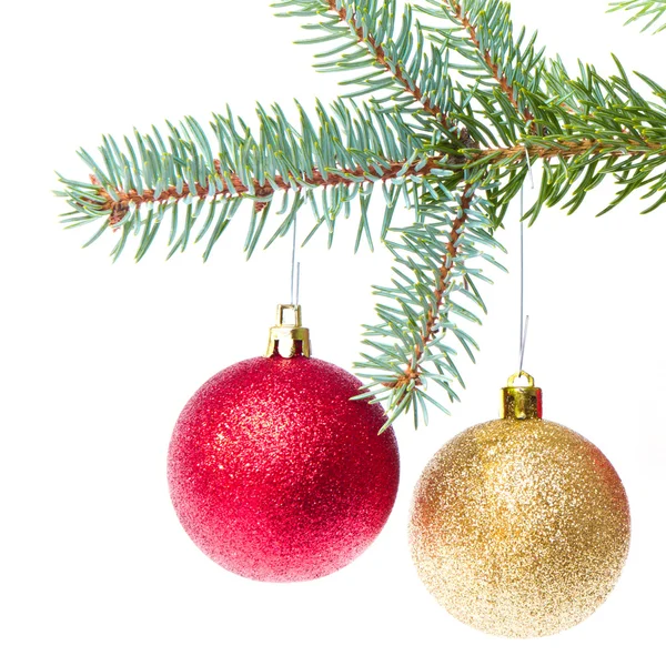 Красный рождественский бал на дереве — стоковое фото