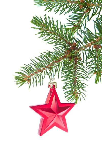 Rode Kerstster opknoping van boom — Stockfoto