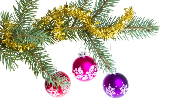 Bolas de Natal no ramo de abeto — Fotografia de Stock