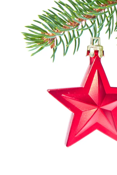 Červená vánoční hvězda visící ze stromu — Stock fotografie