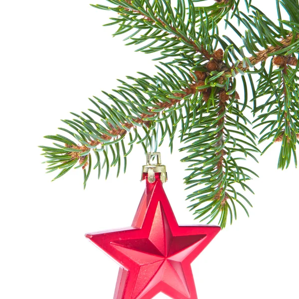 Красная рождественская звезда висит на дереве — стоковое фото