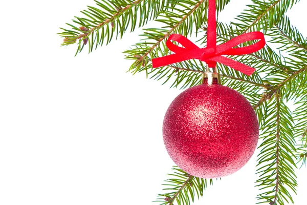 Κόκκινη Χριστουγεννιάτικη χοροεσπερίδα που κρέμονται από το δέντρο — Φωτογραφία Αρχείου