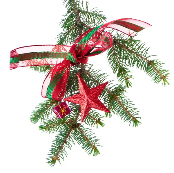 Zdobené vánoční větev — Stock fotografie