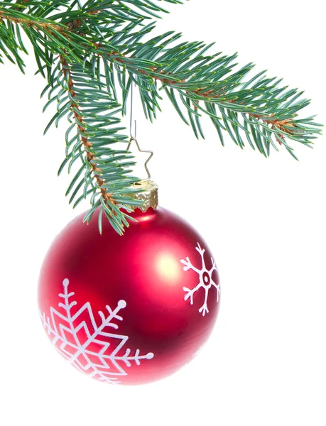 Boll hängande från spruce julgran — Stockfoto