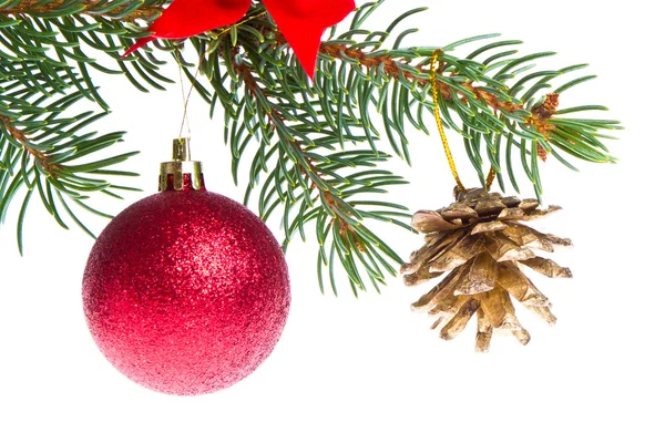Christmas ball på gren — Stockfoto