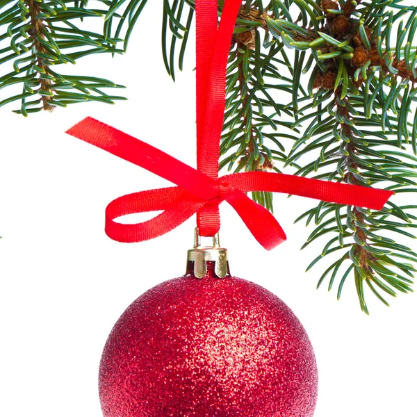 Röd jul boll hängande från träd — Stockfoto