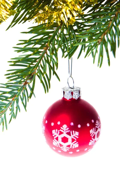 Palle di Natale su ramo di abete rosso — Foto Stock