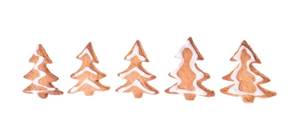 Ingwer-Weihnachtsbäume — Stockfoto