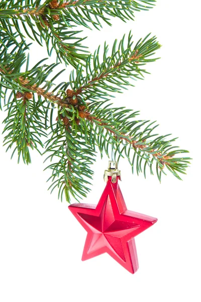 Red christmas star hanging from tree — Stock Photo, Image