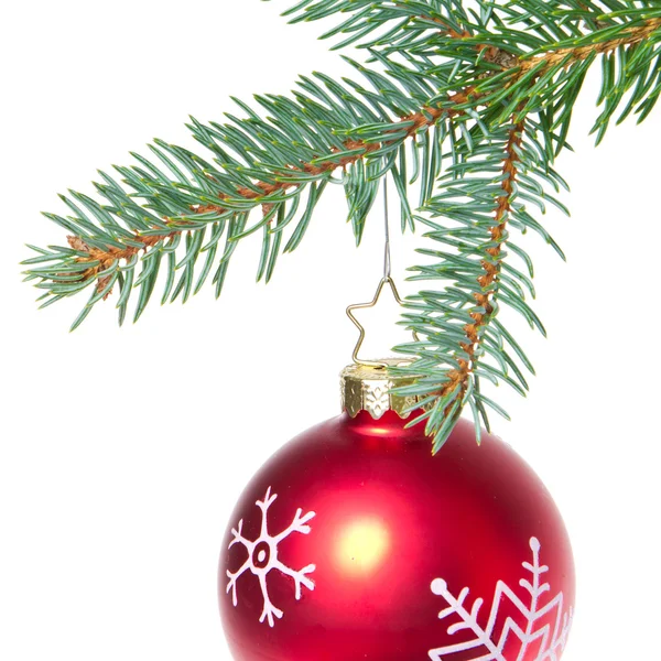 가문비나무 크리스마스 나무에서 거는 공 — 스톡 사진