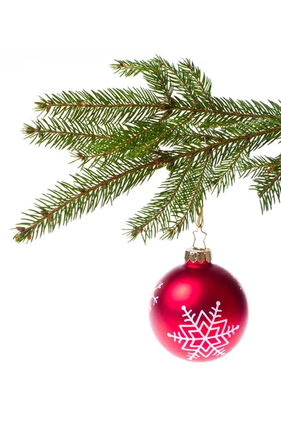 stock image Red ball hanging from spruce christmas tree