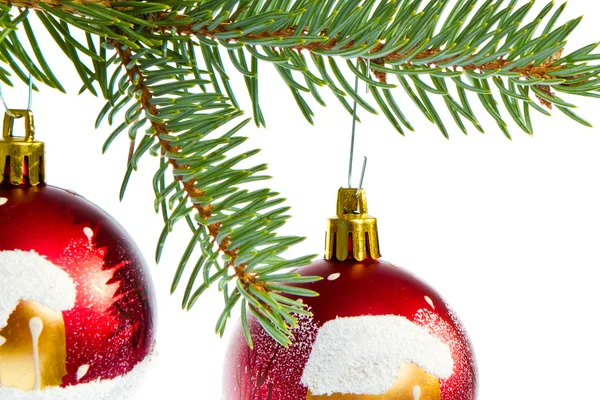 Červená vánoční koule na větvi — Stock fotografie