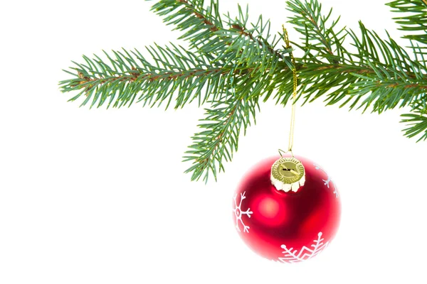 Bola de Natal vermelho no ramo — Fotografia de Stock