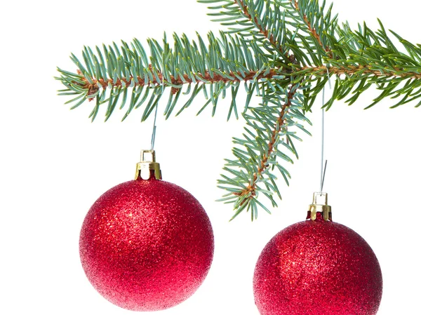 Bola de Natal vermelho pendurado na árvore — Fotografia de Stock