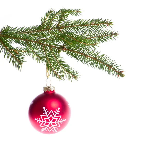 Röd boll hängande från Gran julgran — Stockfoto