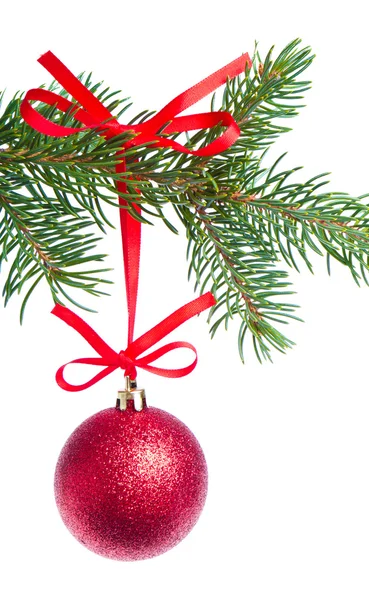 Червоний різдвяний м'яч висить з дерева — стокове фото