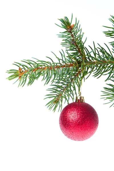 Bola de Natal no ramo — Fotografia de Stock